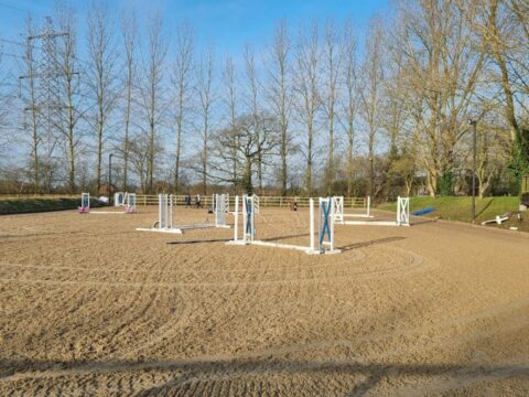 Whitethorn Equestrian