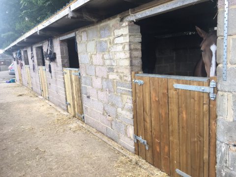 V & B Sport Horses at Aldermoor Farm