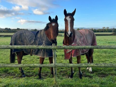 Brookside Lodge Stables