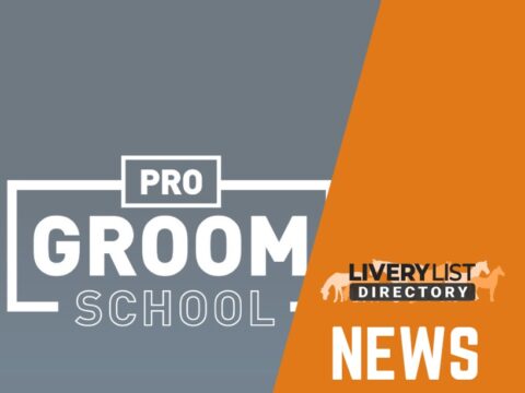 Brush up your Skills with the BGA Pro Groom School