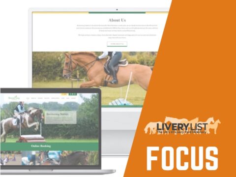 The Importance of Getting Your Equestrian Business Online in 2023