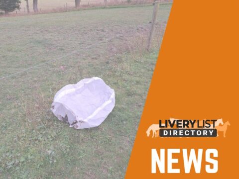 Livery Yard Incident Highlights Issues with Sky Lanterns