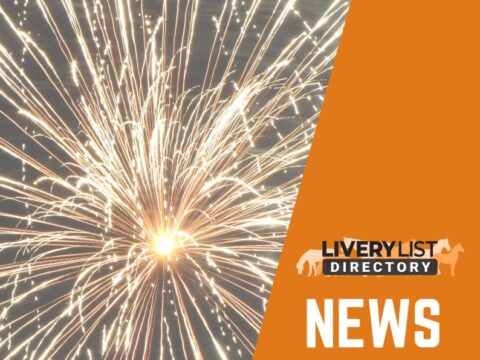 New Welfare Report Supporting Ban on Fireworks
