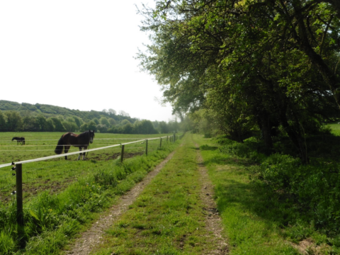 Muston Down Farm