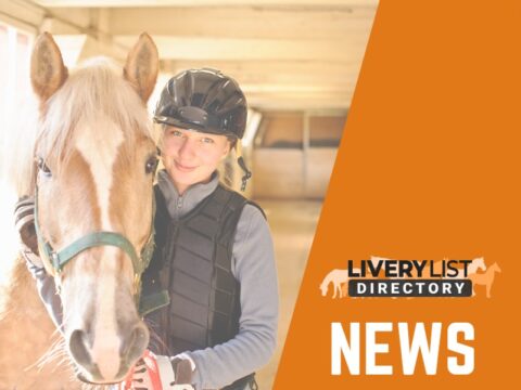 Equestrian Employer’s Survey on the New MNW Effects