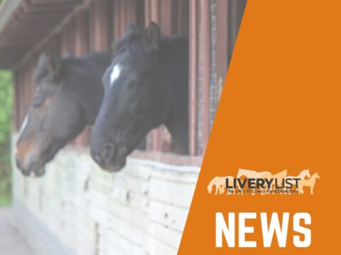 LiveryList Joins Forces with SEIB to De-Mystify Livery Yard Insurance