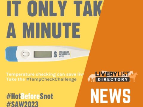 Get Ready for the Strangles Awareness Week Temp Check Challenge