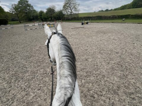 Huntingford Farm Stables