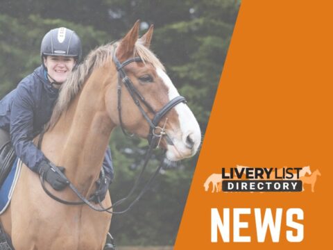 Redwings Announces Official Partnership with Equestrian Influencer Riding with Rhi