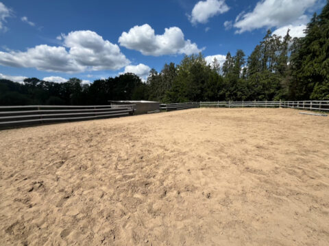 Rosedene Stables