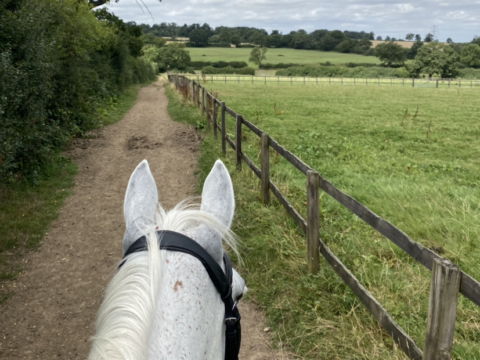 Strangeways Stud Farm