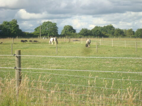 The Paddocks Stable Yard