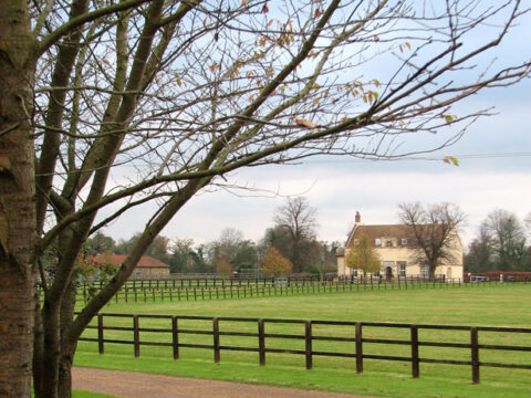 West Dereham Abbey Stud