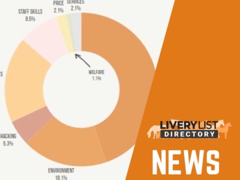 Survey Reveals Mixed Priorities For Horse Owners When it Comes to Livery Choices