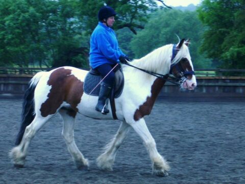 Caldecote Riding School