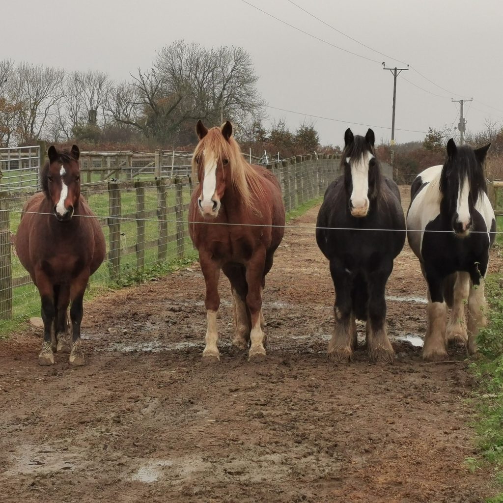 2by2 Track Livery and Stables – Devon