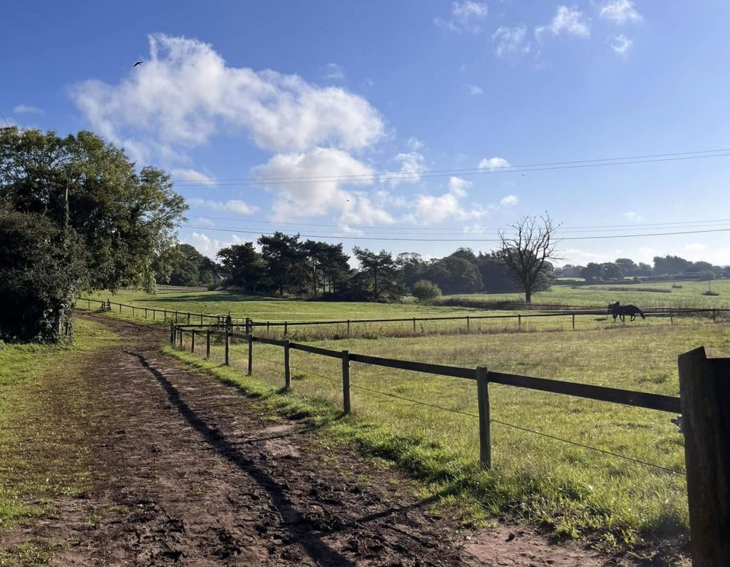 Tor Fenwick Dressage