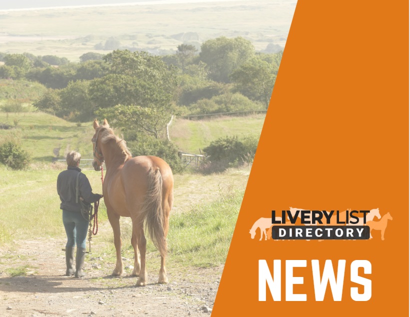 Documentary Highlights Need for Centralised Equine ID and Traceability System 