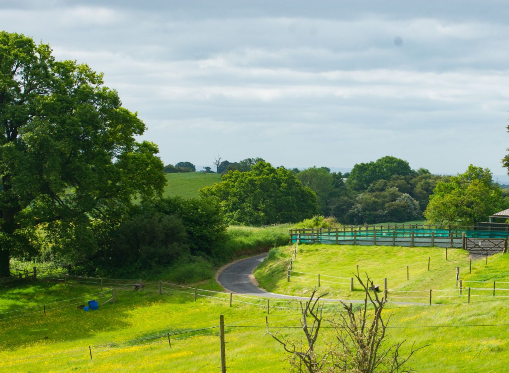 Monsieurs Hall Livery