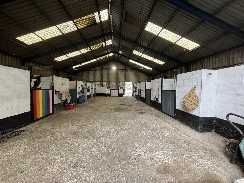 Standalone Equestrian