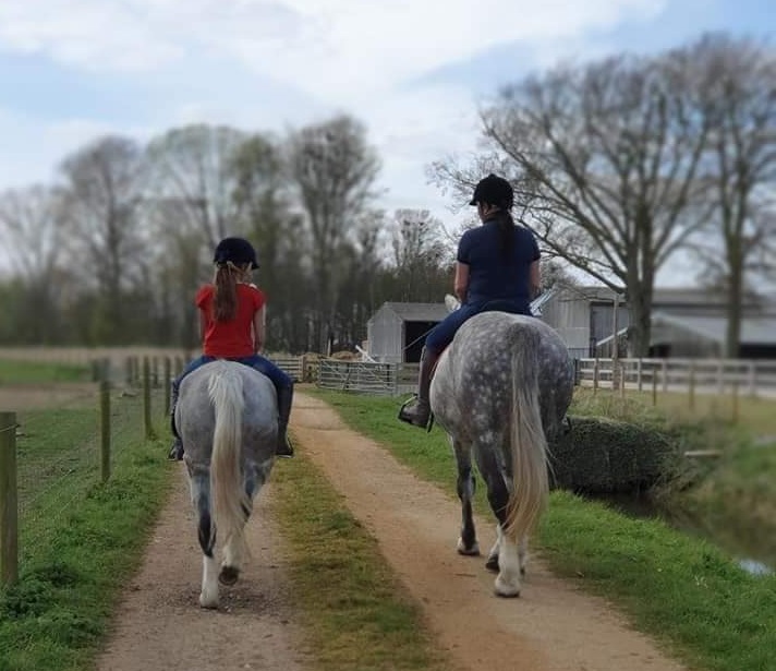 Heathlands Equestrian – Blackborough End