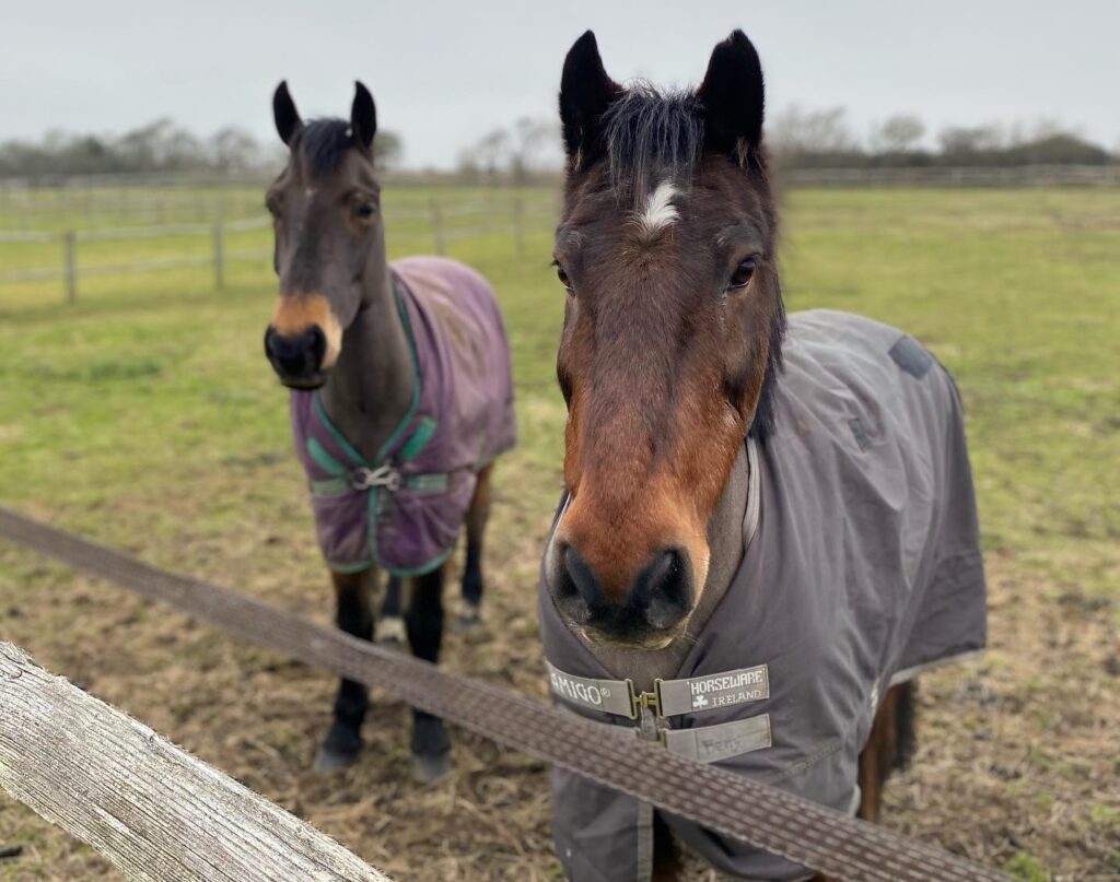 Happy Valley Equestrian Centre