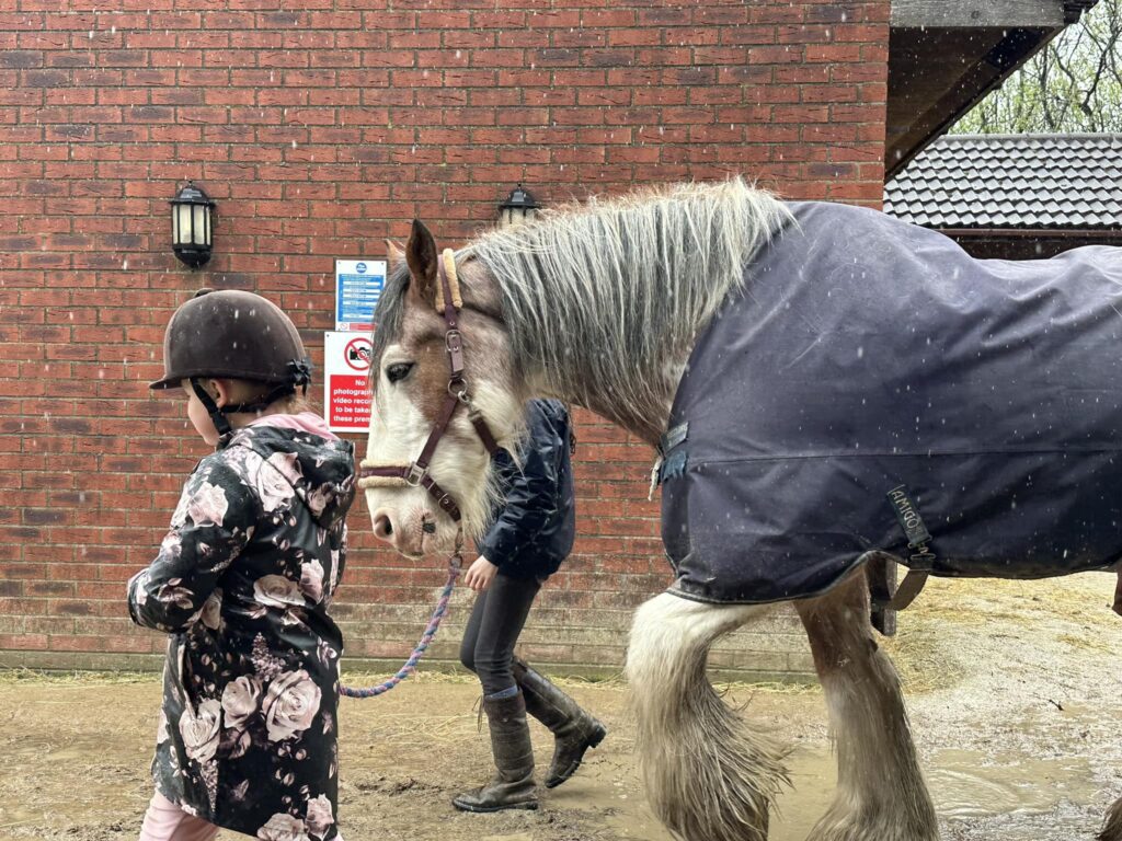 P and R Equestrian Centre