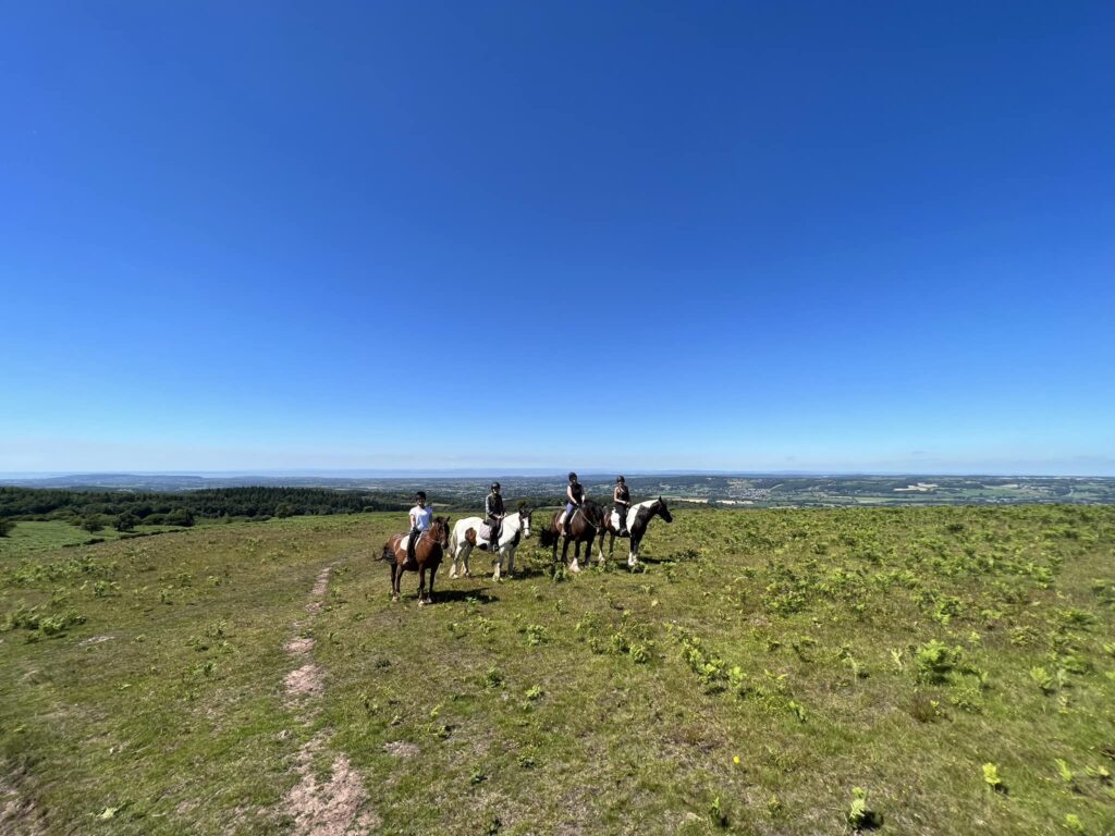 Tynings Trekking Centre