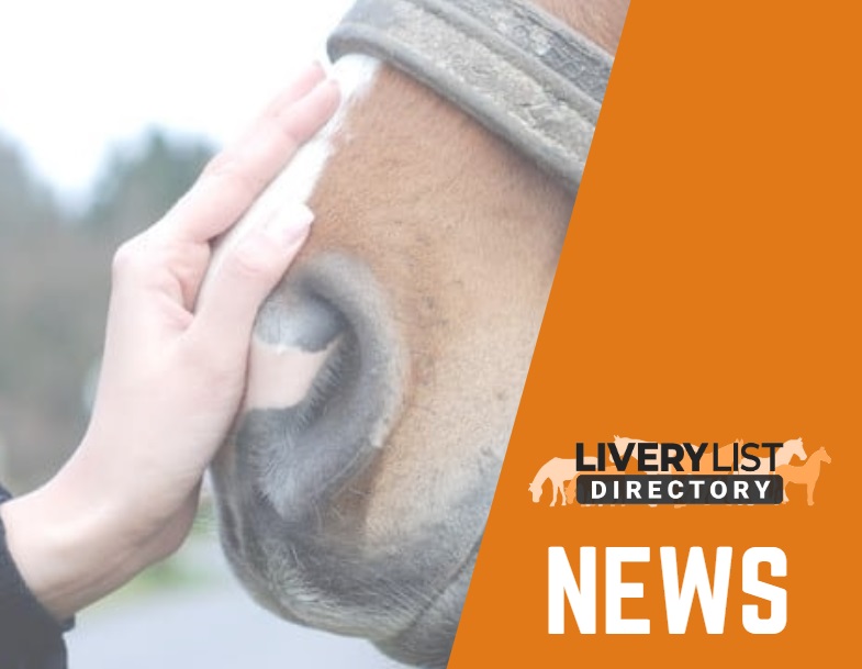 Results of NEWC Horse Owner Survey Published