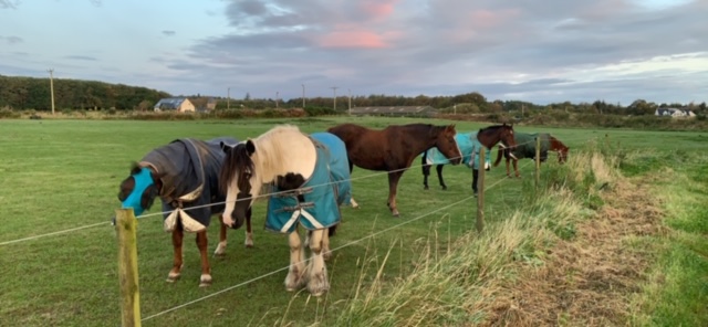 Lower Woodside Farm- Drumoak