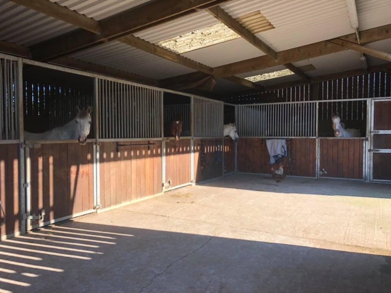 Chew Valley Equestrian