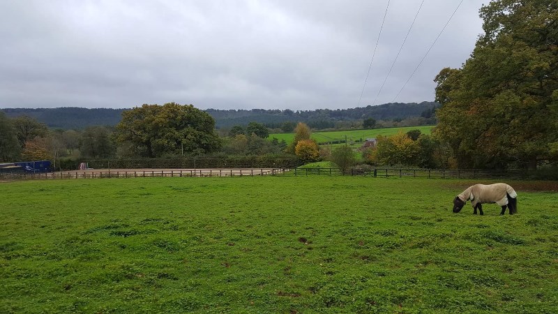 Bridgelands Farm Stables