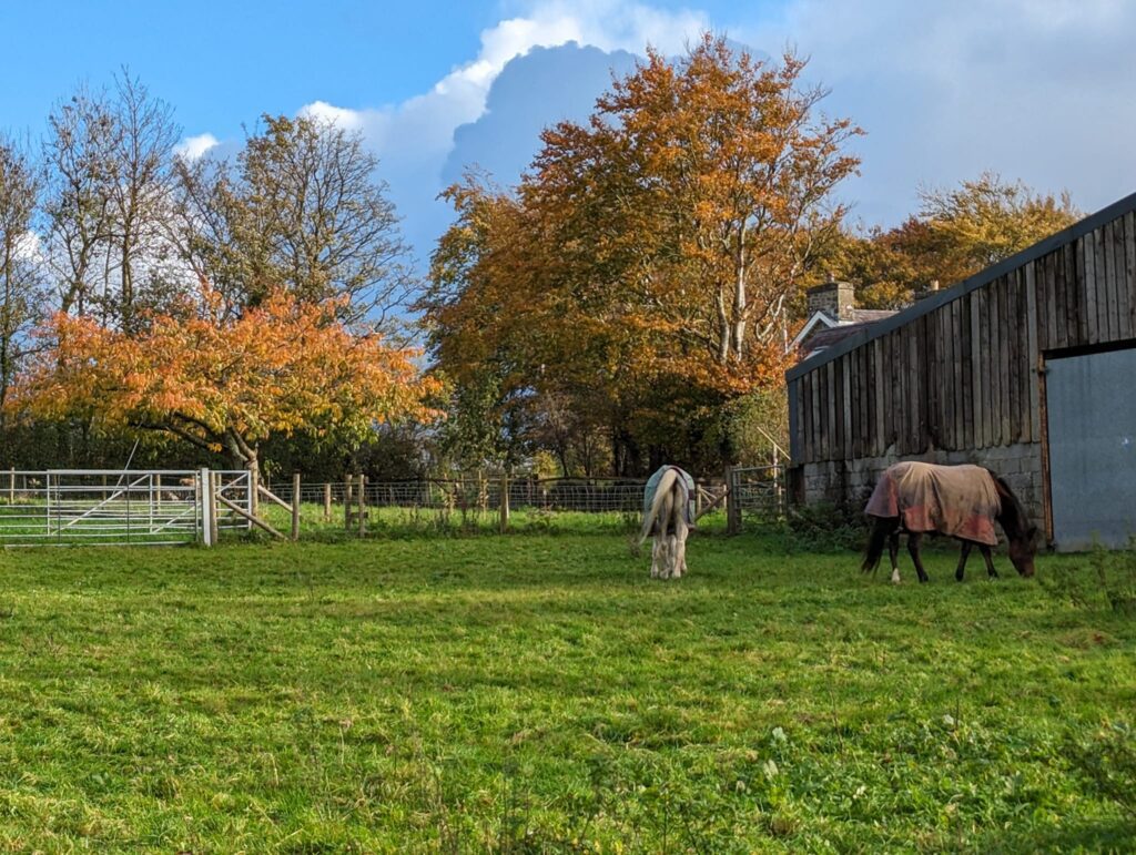 Pengraigwen Stables