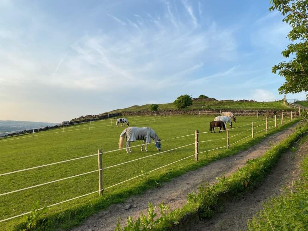 Swan Lane Equestrian Centre