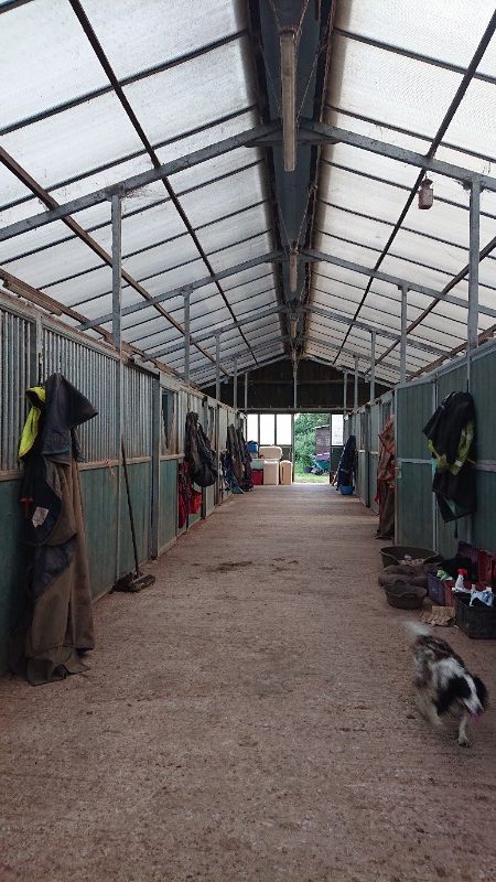 HMF Equestrian Livery Services