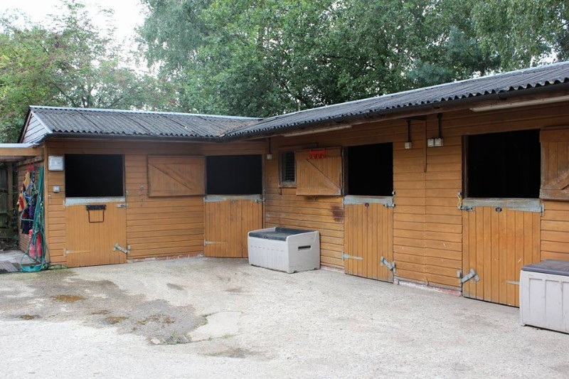 Moonlight Ridge Stables