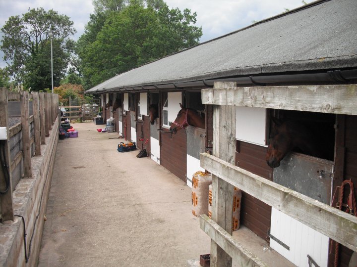 Ashview Stables