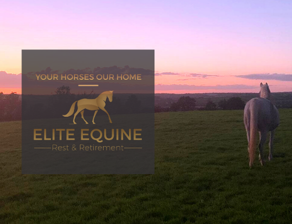 Elite Equine Rest and Retirement