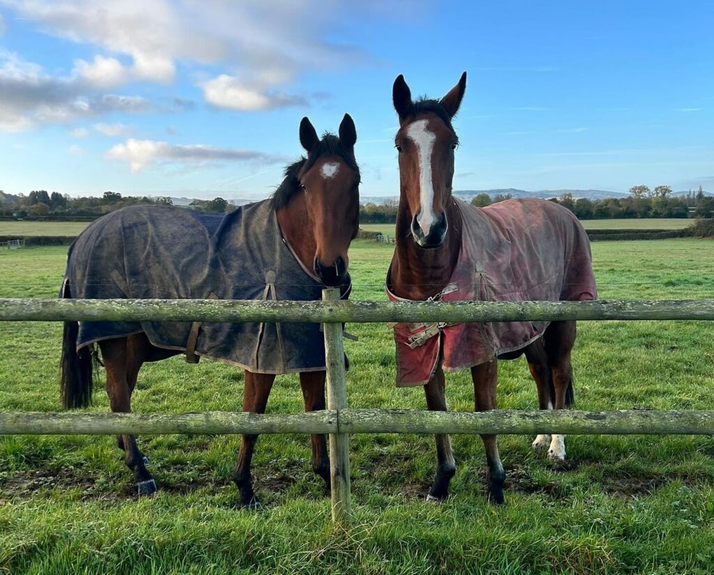 Brookside Lodge Stables