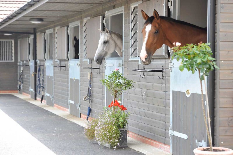 Farley Hall Equestrian Centre