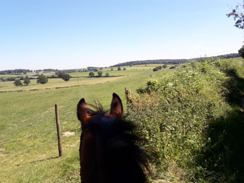 North End Farm Livery Yard