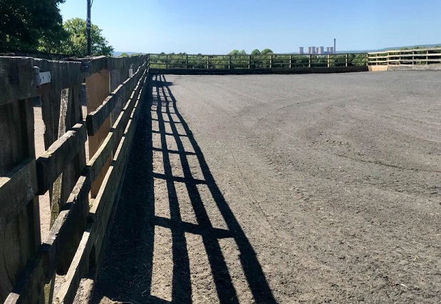 Daresbury Equestrian