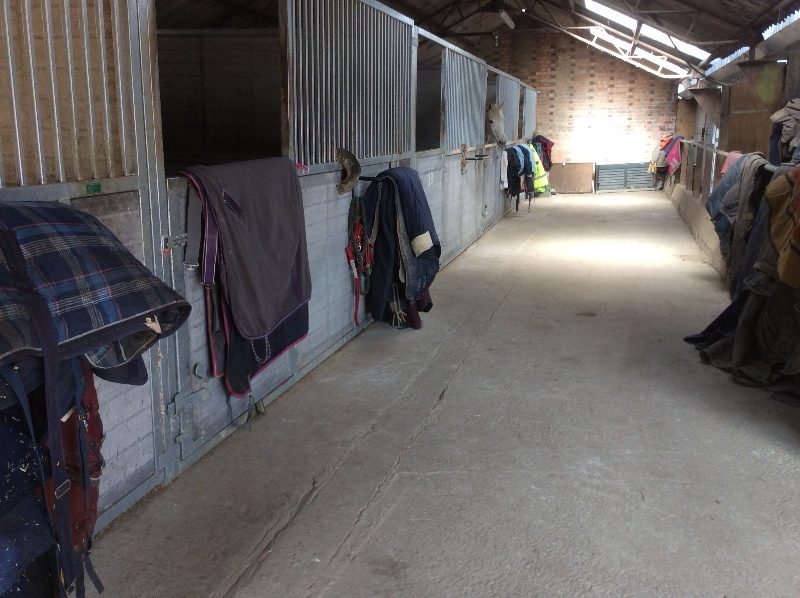 DIY Livery Yard near Haywards Heath