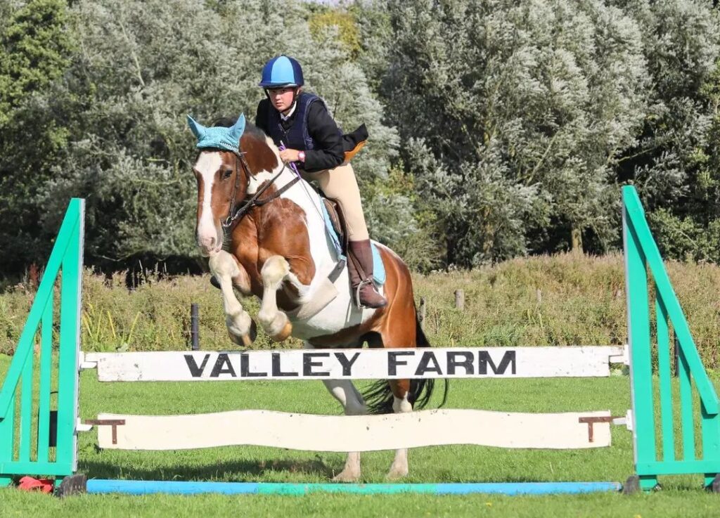 Valley Farm Equestrian Leisure