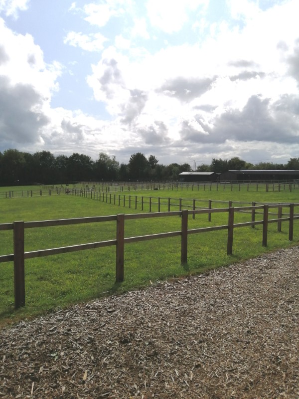 Cherry Tree Stables