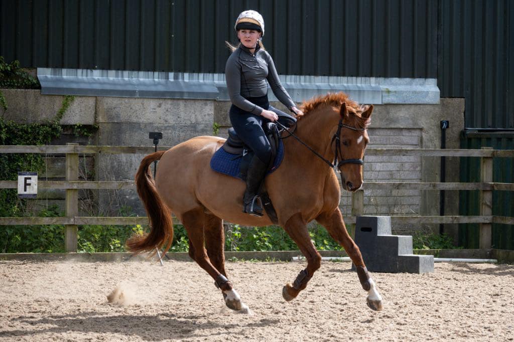 Kennedy Equestrian at Owslebury EC