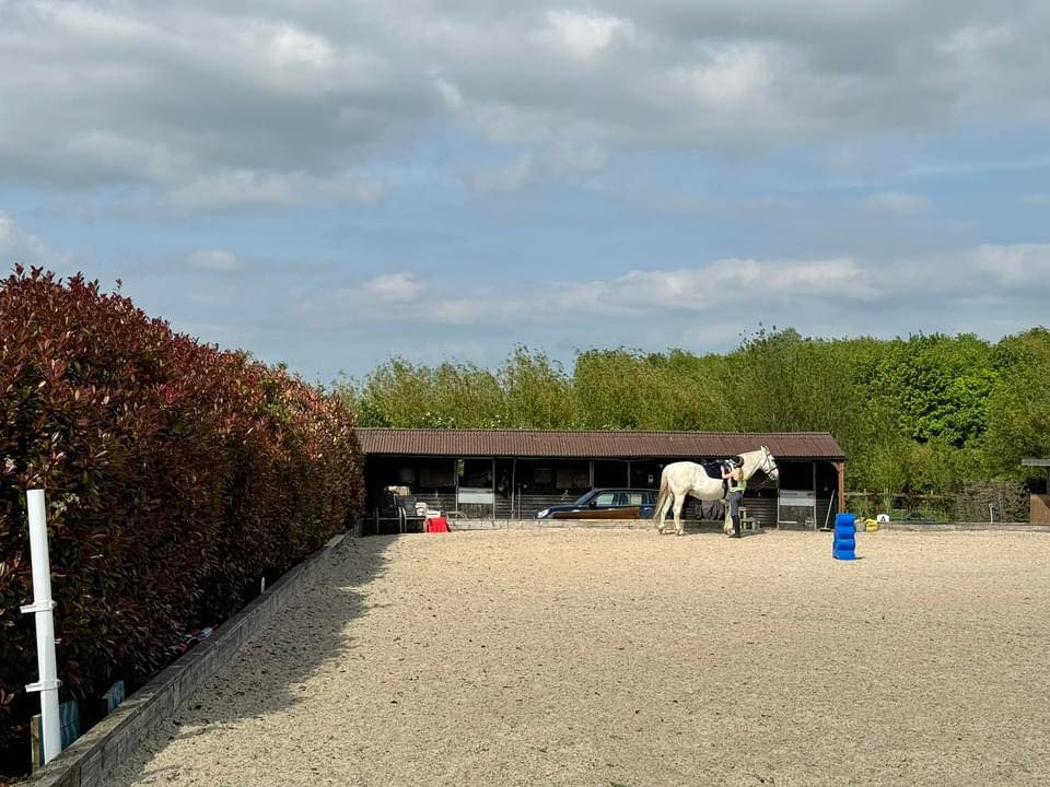 Washbrook Equestrian