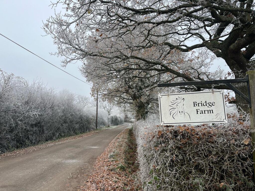 Bridge Farm Equestrian