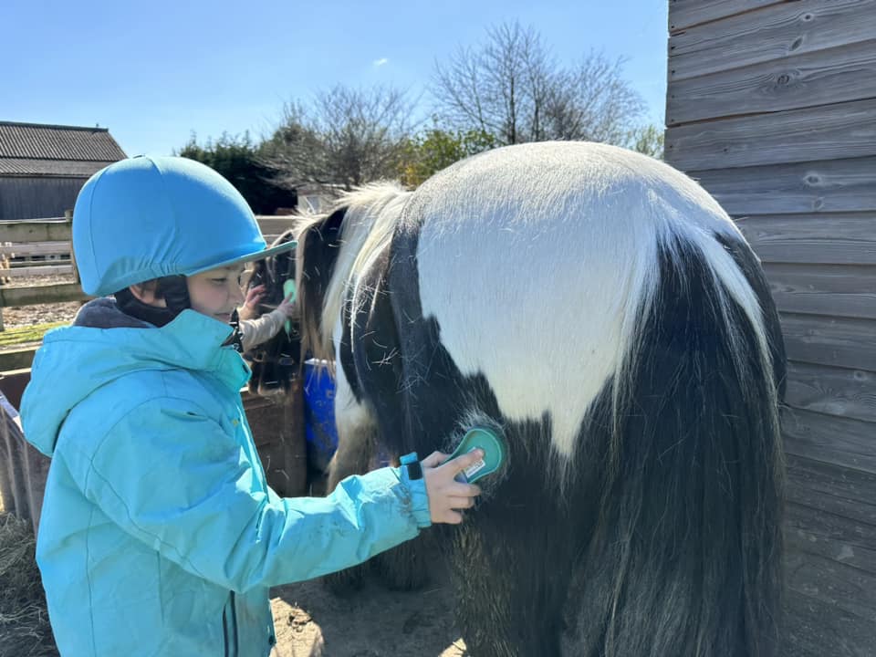 P and R Equestrian Centre