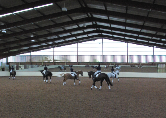 The Talland School Of Equitation